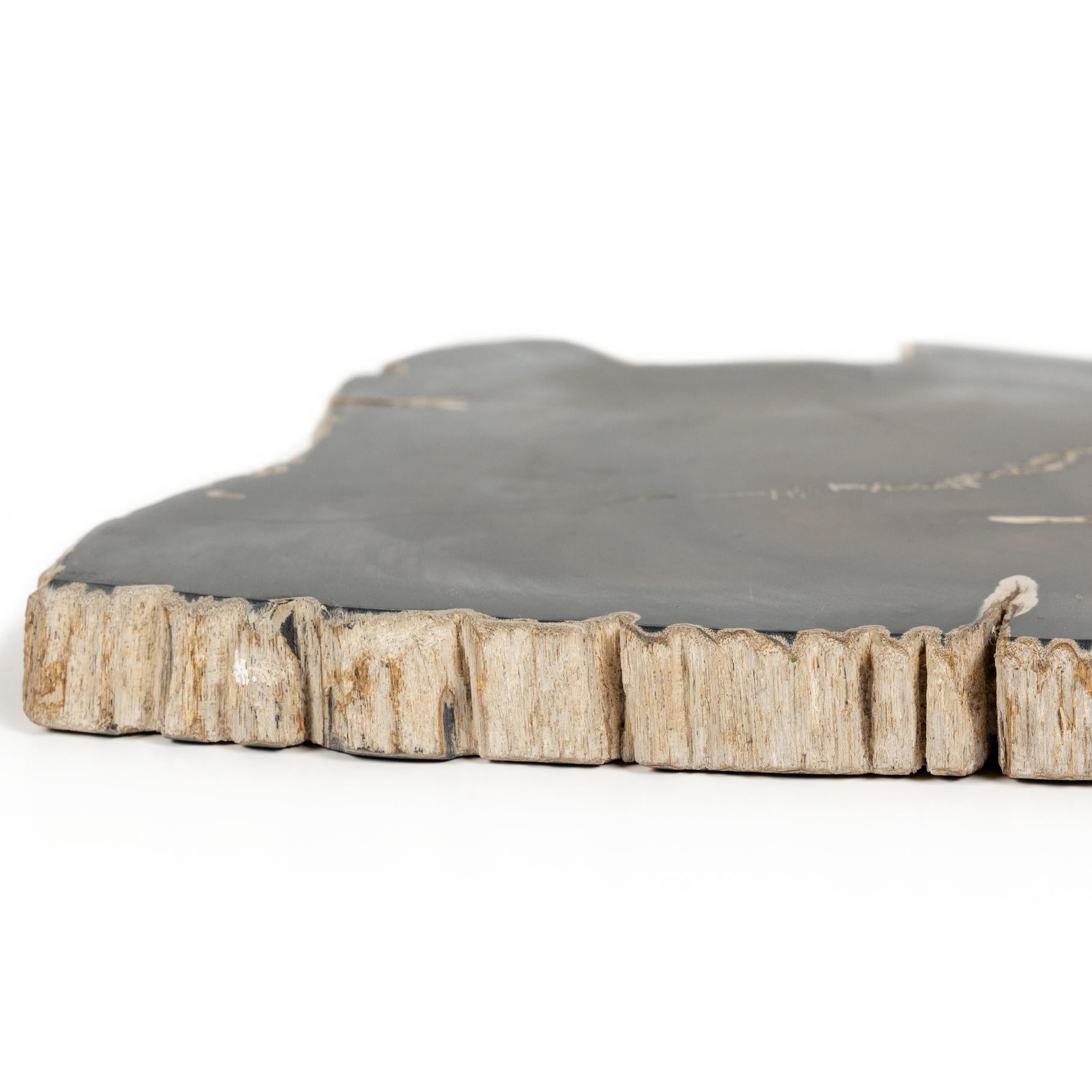 Petrified Wood Slab