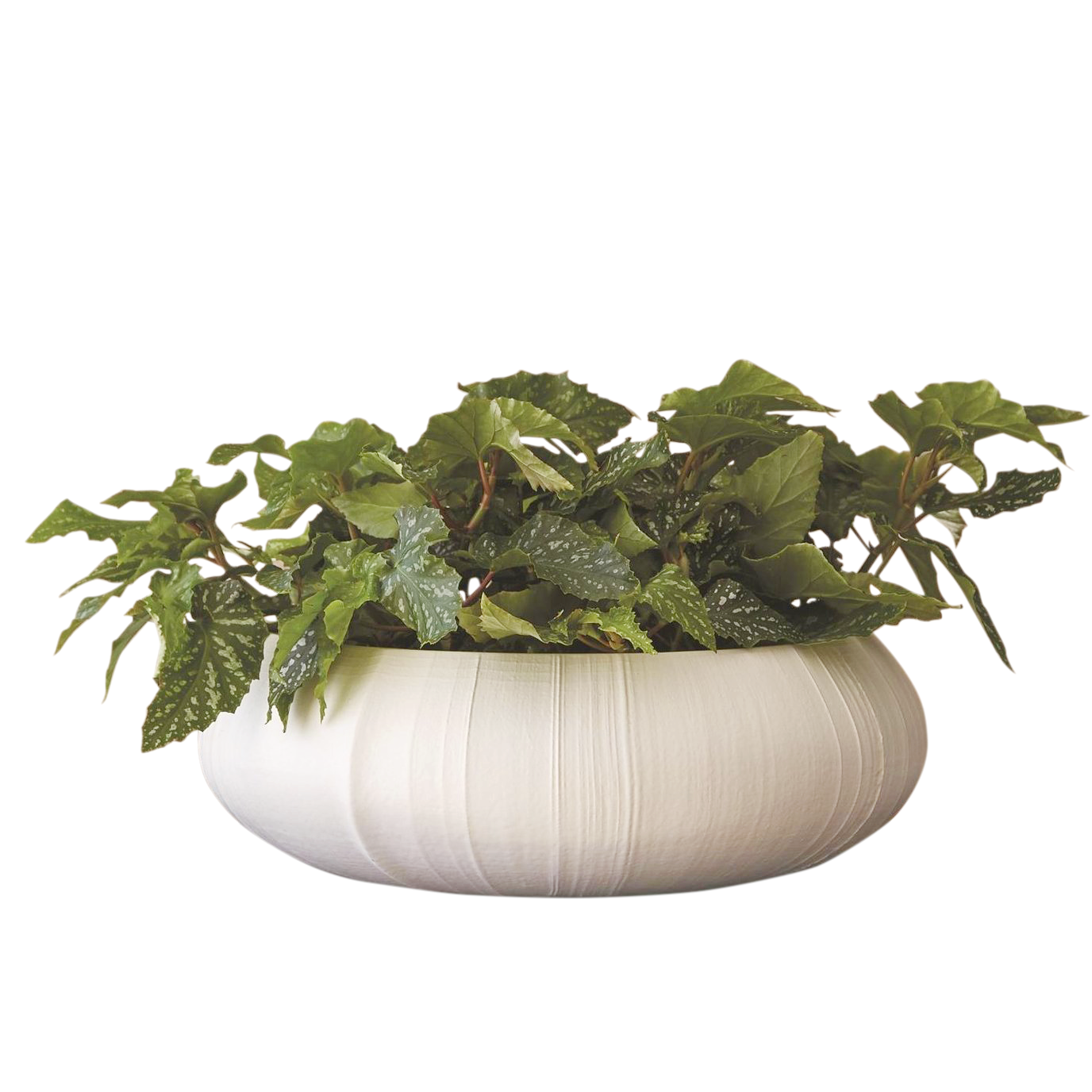 Ava Ceramic Centerpiece - StyleMeGHD - Decorative Objects