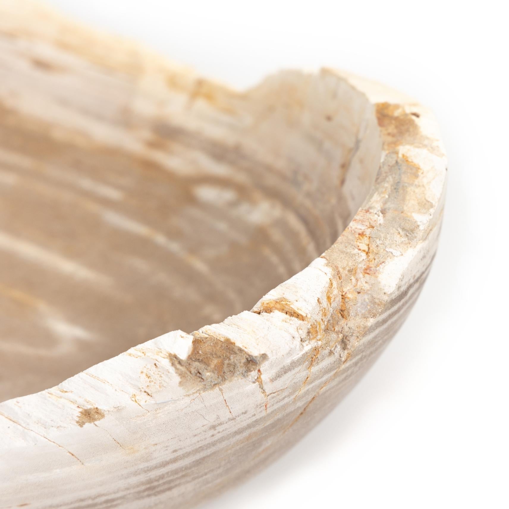 Oval Petrified Wood Bowl - StyleMeGHD - Wooden Home Decor