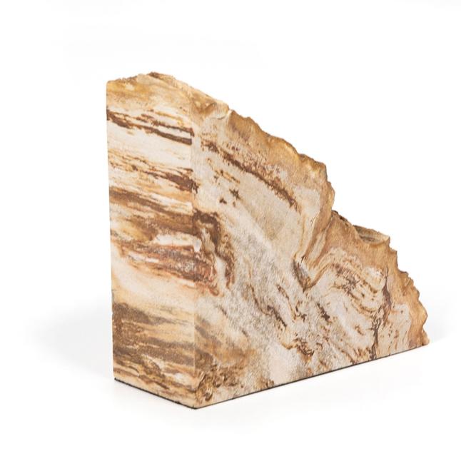 Petrified Wood Book Ends - StyleMeGHD - Modern Home Decor