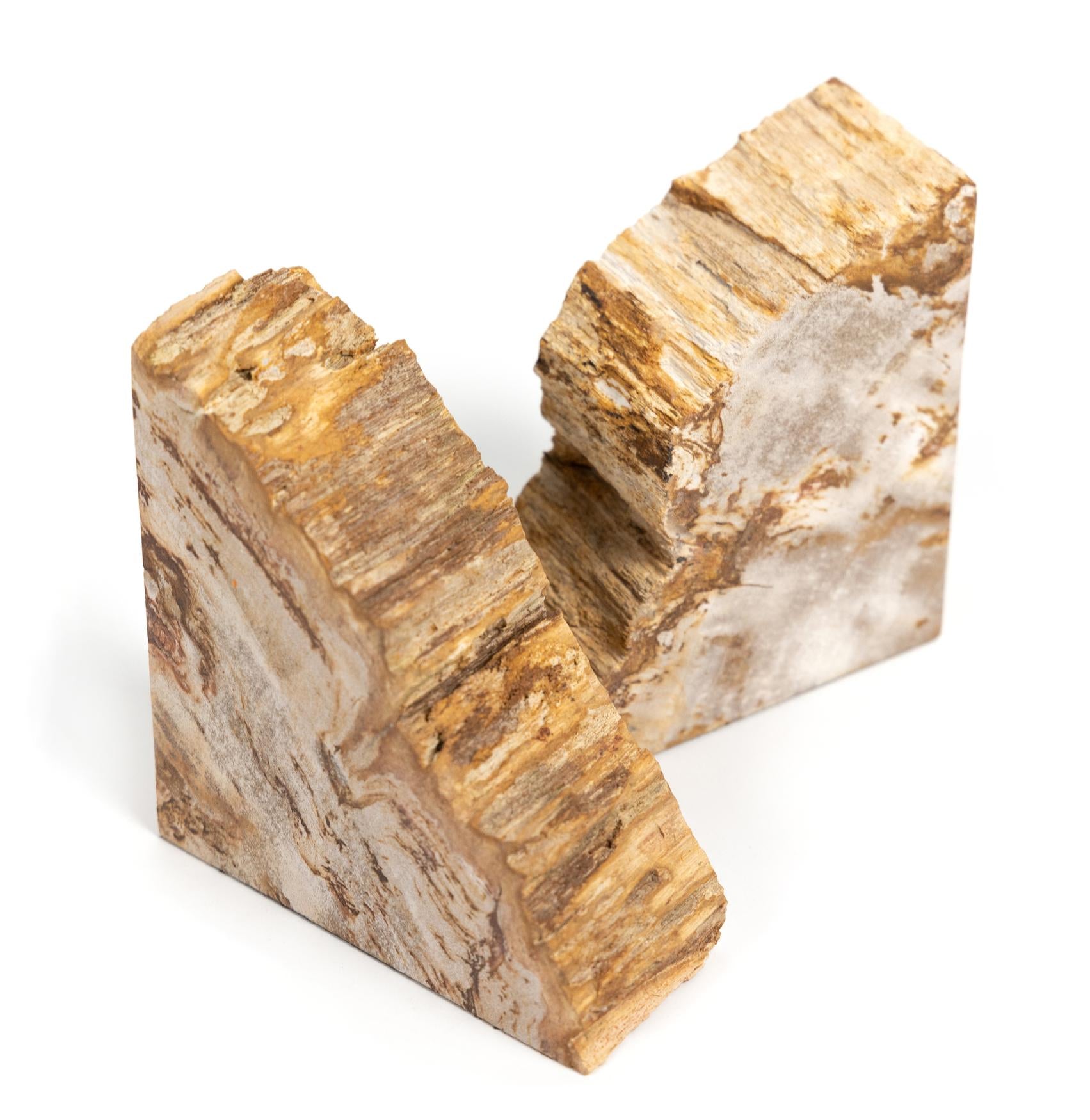 Petrified Wood Book Ends - StyleMeGHD - Modern Home Decor