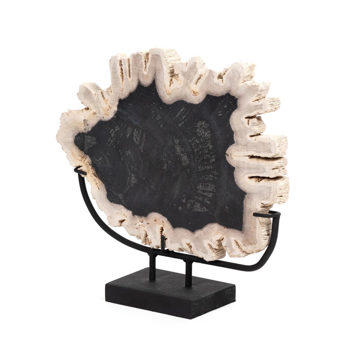 Petrified Wood Sculpture - StyleMeGHD - Modern Home Decor