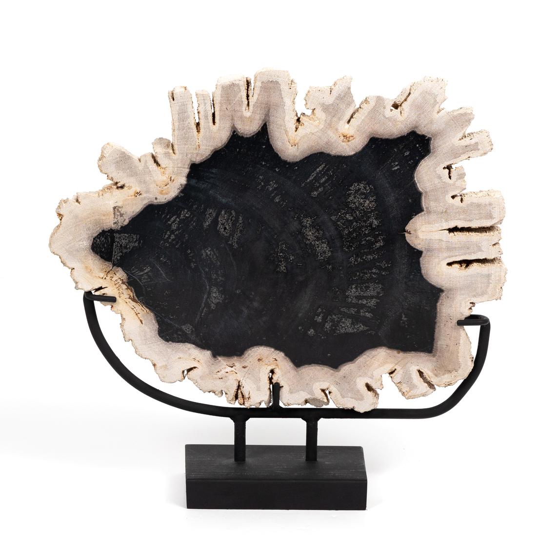 Petrified Wood Sculpture - StyleMeGHD - Modern Home Decor